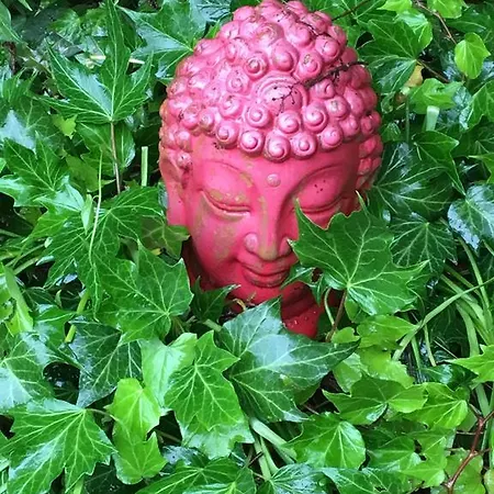 ラ デペンダンス